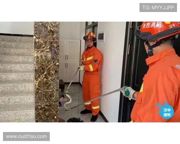 AG真人网技术保障与安全措施详解确保玩家游戏体验顺畅无忧