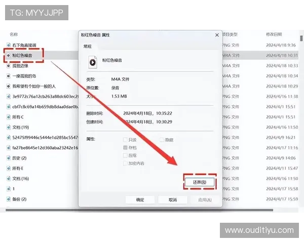 多米体育登录入口无法访问怎么办？多种解决方案帮你快速恢复正常使用