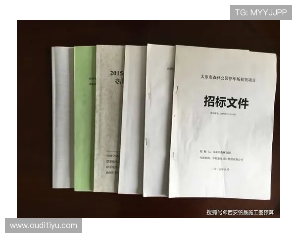 如何精准解读体育app招标公告内容,确保投标方案符合要求